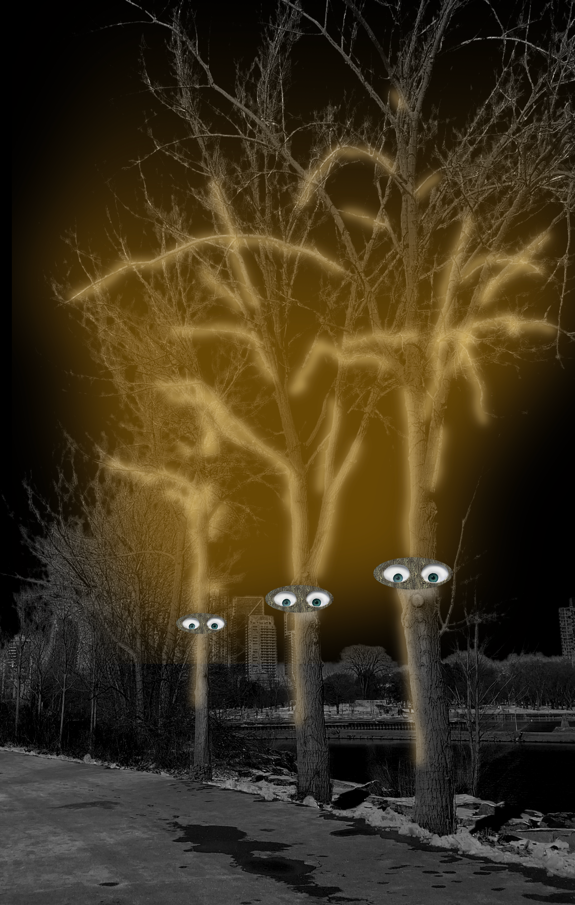 Forest Awake — night